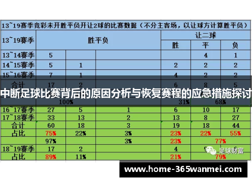 中断足球比赛背后的原因分析与恢复赛程的应急措施探讨